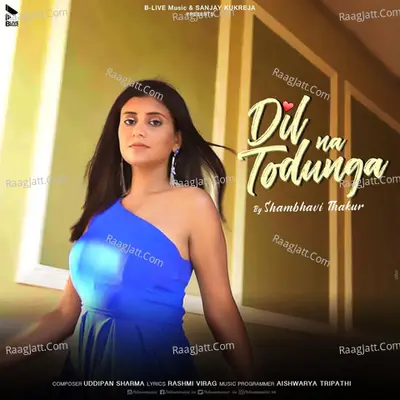 Dil Na Todunga Cover