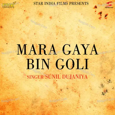 Mara Gaya Bin Goli Cover