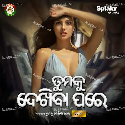 Tumaku Dekhiba Pare Vol 4 Poster