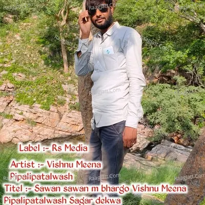 Vishnu Meena Pipali Patalwas
