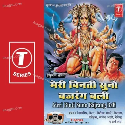 Meri Binti Suno Bajrangi Bali Cover