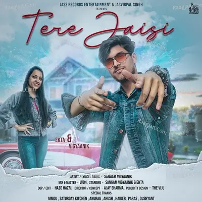 Tere Jaisi