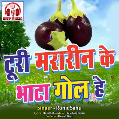 Turi Mararin Ke Bhata Gol He (Chhattisgarhi Song) Cover