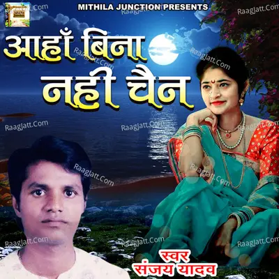 Sanjay Yadav Image