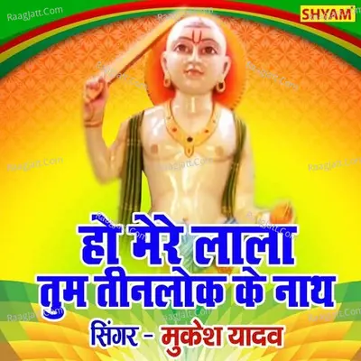 Ho Mere Lala Tum Teenlok Ke Nath Teri Leela Jag Se Nyari Cover