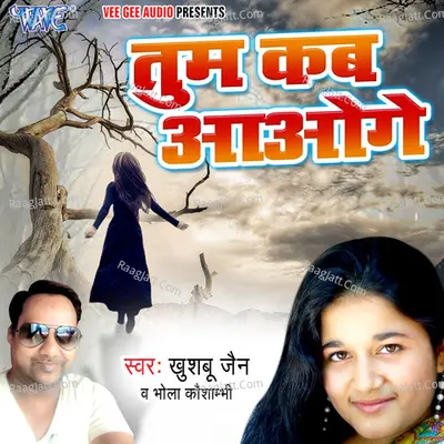 Tum Kab Aaoge Poster