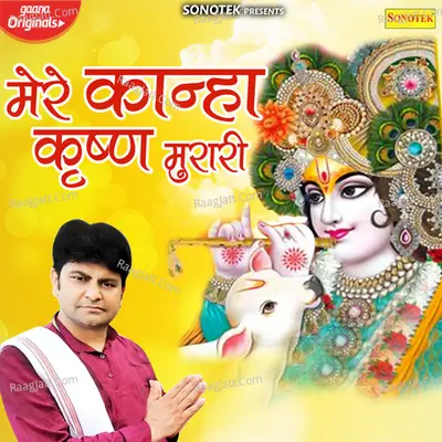 Mere Kanha Krishan Murari Cover