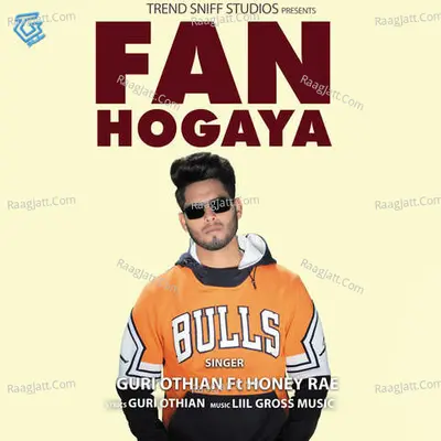 Fan Hogya Cover