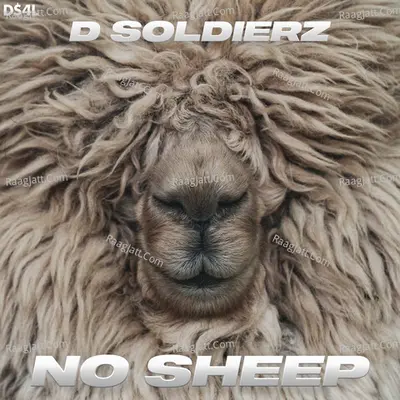 No Sheep Cover