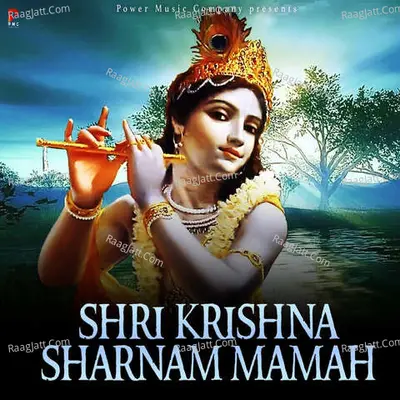 Shri Krishna Sharnam Mamah Cover