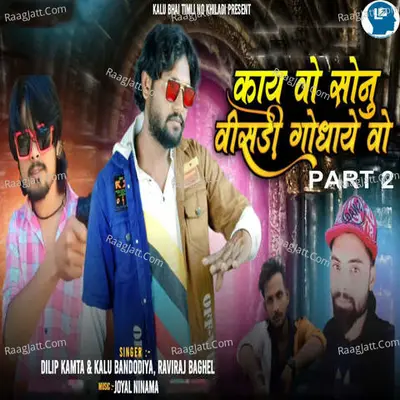 Kay Vo Sonu Visadi Godhaye Vo Part 2 Cover