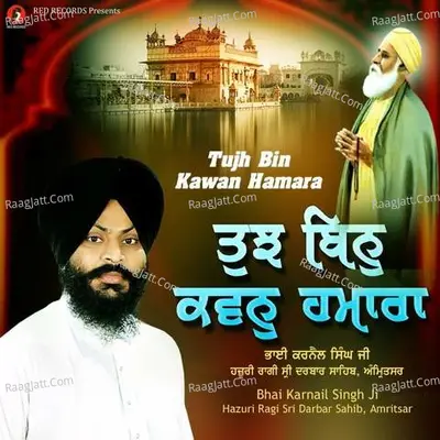 Tujh Bin Kawan Hamara Cover