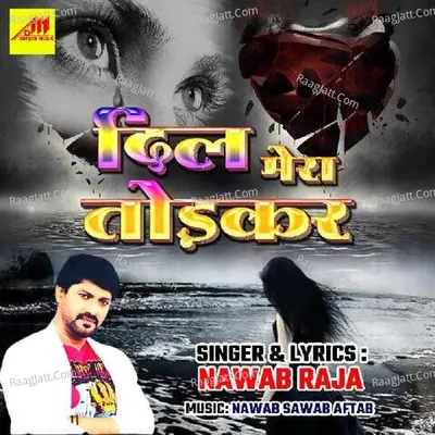 Dil Mera Todkar Poster