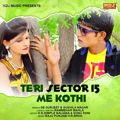 Teri Sector 15 Me Kothi Cover