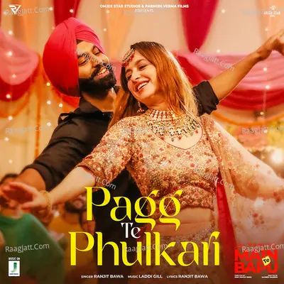Pagg Te Phulkari (From "Main Te Bapu") Cover