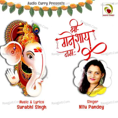 Shri Ganeshaye Namah Cover