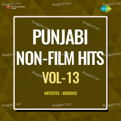 Punjabi Non - Film Hits Vol - 13 Cover