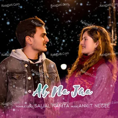 Ab Na Jaa Cover