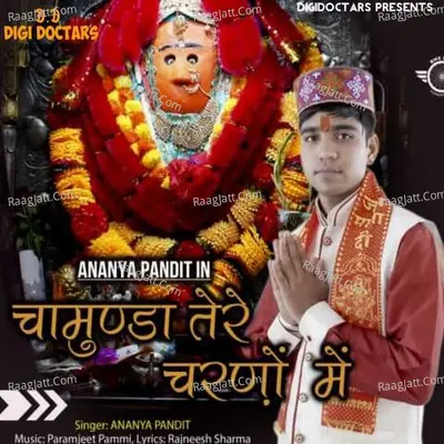 Ananya Pandit Image