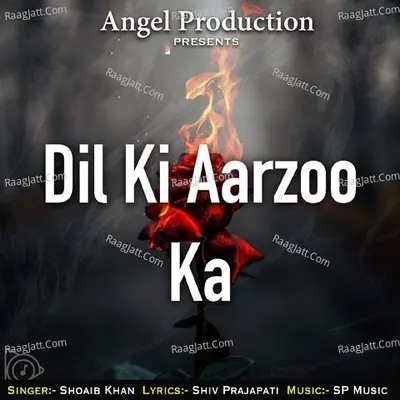Dil Ki Aarzoo Cover