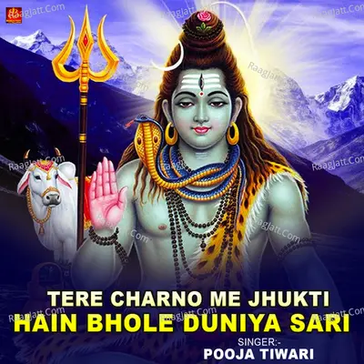 Tere Charno Me Jhukti Hain Bhole Duniya Sari Cover