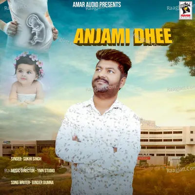 Anjami Dhee Cover