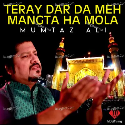 Teray Dar Da Meh Mangta Ha Mola - Single