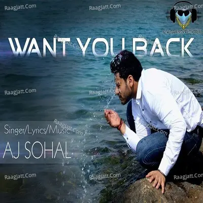 Want You Back