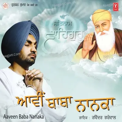 Aaveen Baba Nanaka Poster