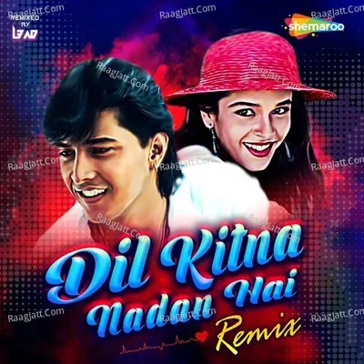 Dil Kitna Nadan Hai Remix Cover