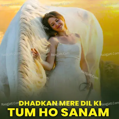 Dhadkan Mere Dil Ki Tum Ho Sanam Cover