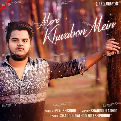 Mere Khwabon Mein Poster