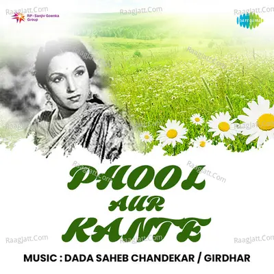 Phool Aur Kante Poster