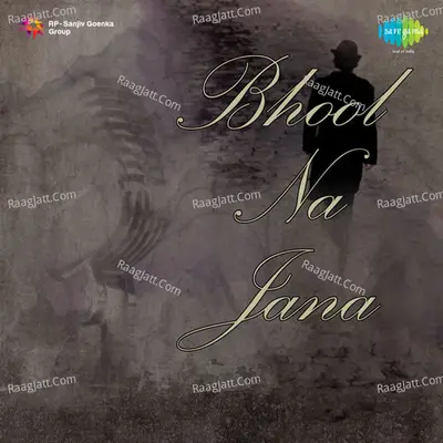 Bhool Na Jana Poster