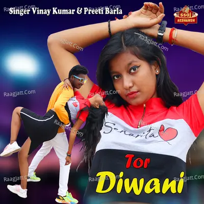 Tor Diwani Cover