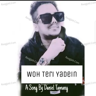 Woh Teri Yadein Cover