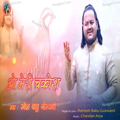O Meri Chakora Cover