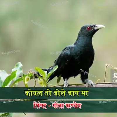 Koyal To Bole Baag Ma Cover