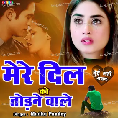 Mere Dil Ko Todane Wale Cover