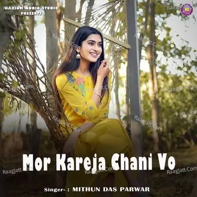 Mor Kareja Chani Vo Cover