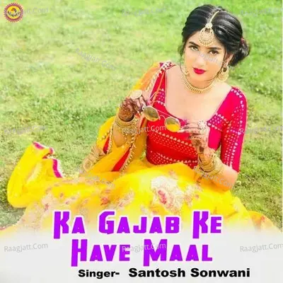 Santosh Sonwani Image