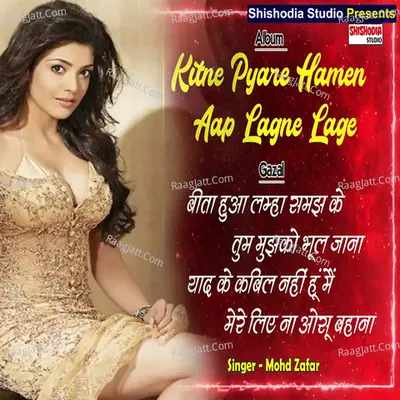 Beeta hua lamha samajhte tum Cover