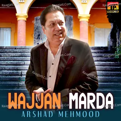 Wajjan Marda - Single Cover