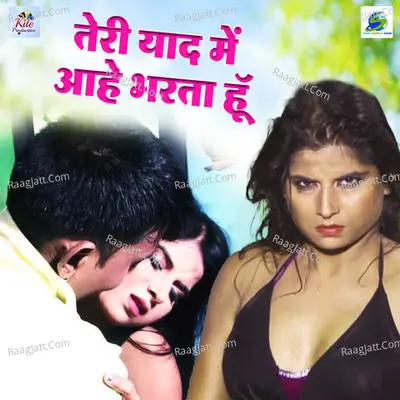 Teri Yad Me Aahe Bharta Hu Cover