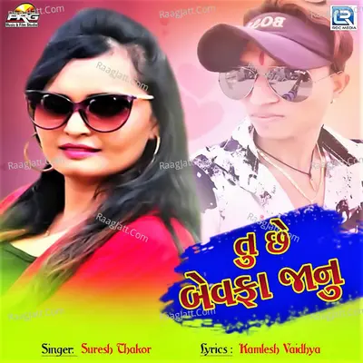 Tu Chhe Bewafa Janu