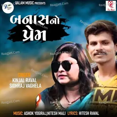 Sidhraj Vaghela Image