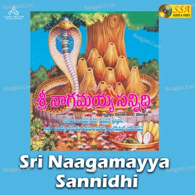 Sri Naagamayya Sannidhi - 