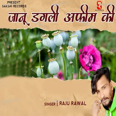 Jaanu Dagli Afim Ki