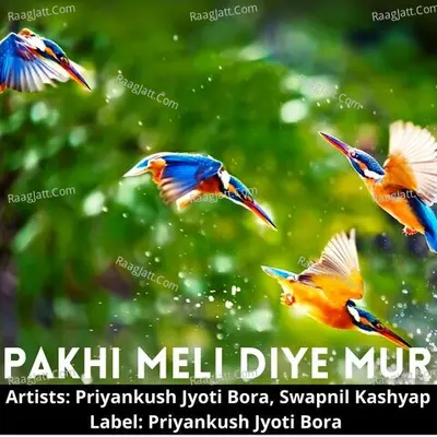 Pakhi Meli Diye Mur