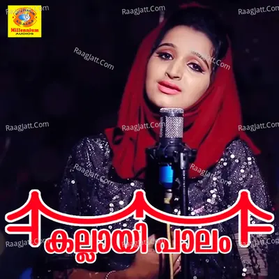 Kallayi Palam Cover